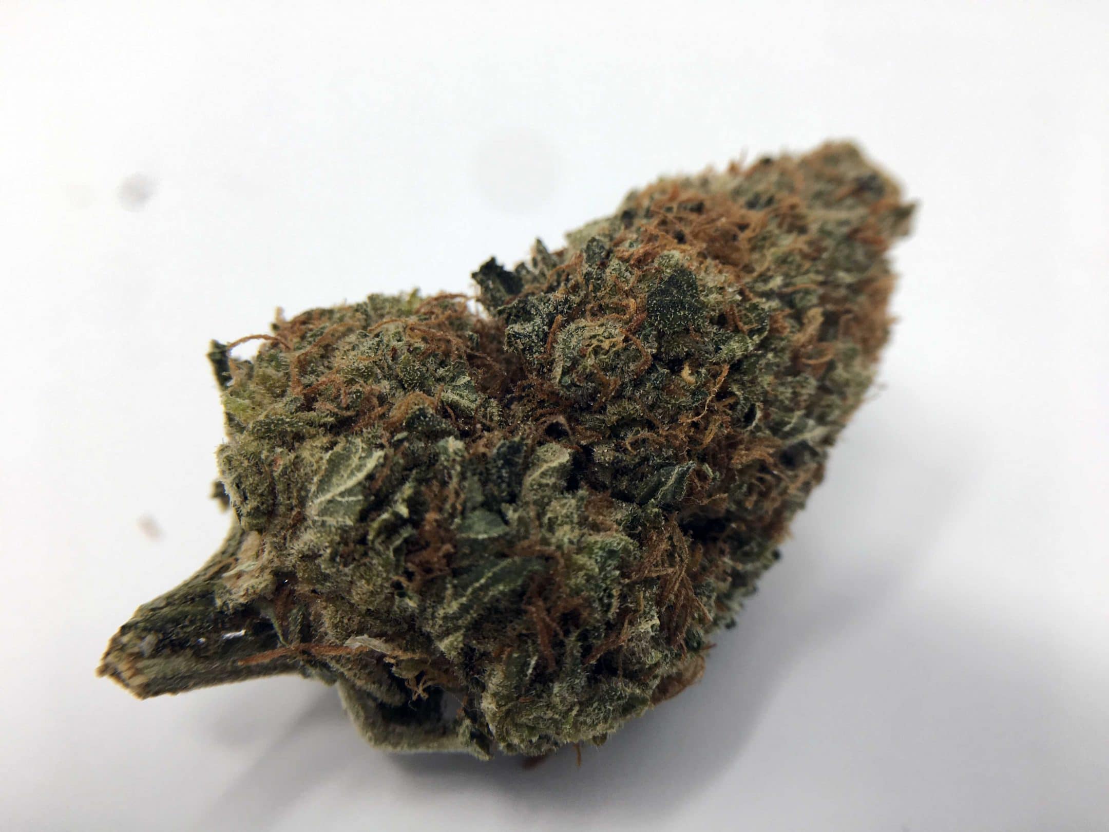 Archive image 2 for AK-47 Strain Information & Review