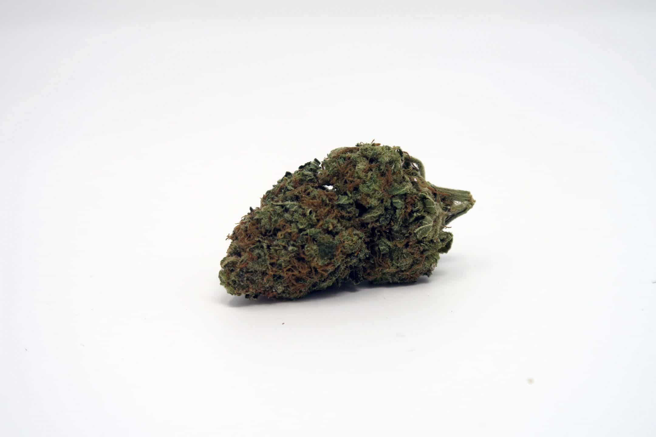 Archive image 3 for AK-47 Strain Information & Review