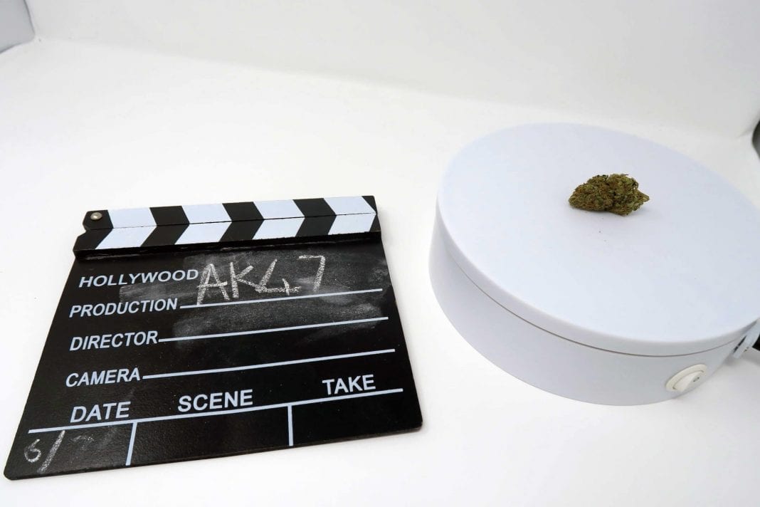 Archive image 7 for AK-47 Strain Information & Review