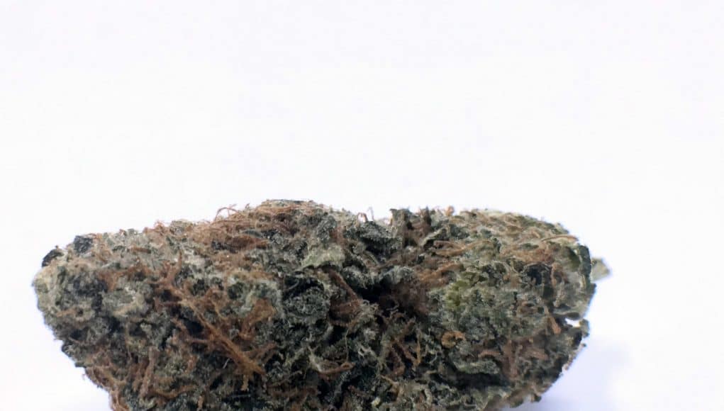 Archive image 8 for AK-47 Strain Information & Review