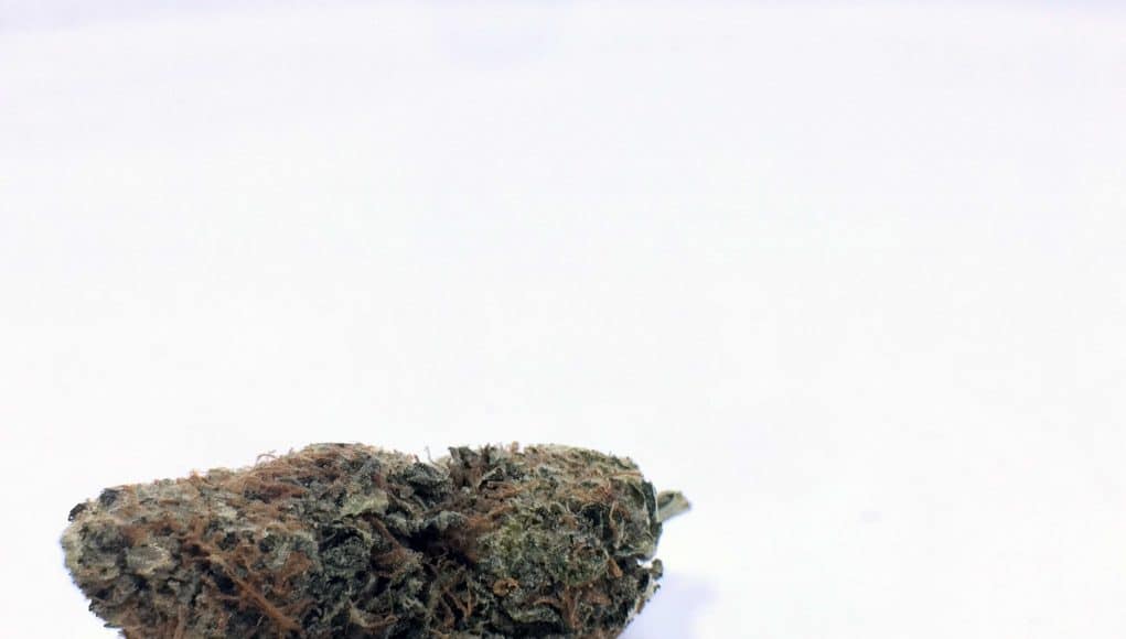 Archive image 9 for AK-47 Strain Information & Review