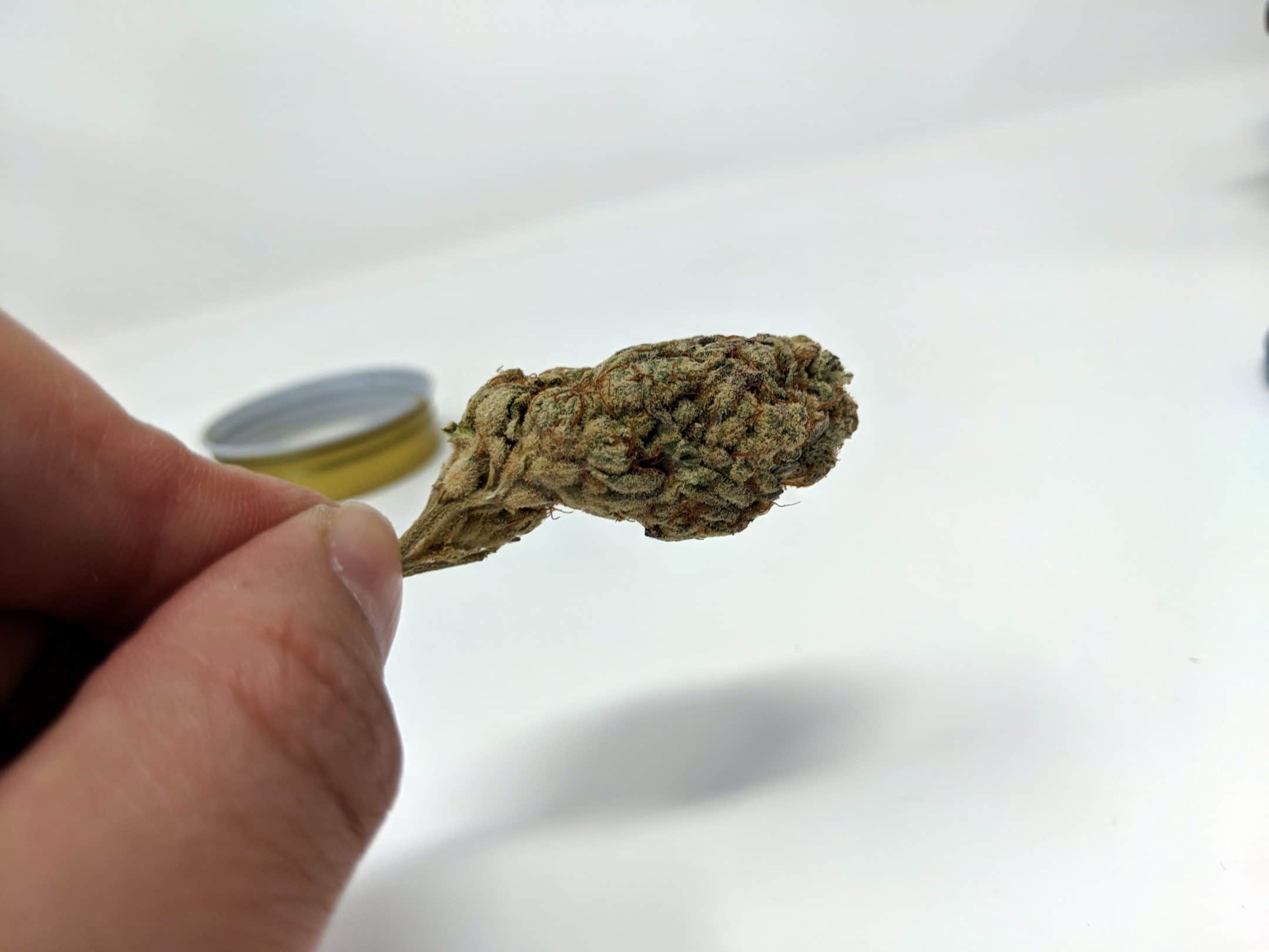 Archive image 2 for Alien Cream Cake Strain Review