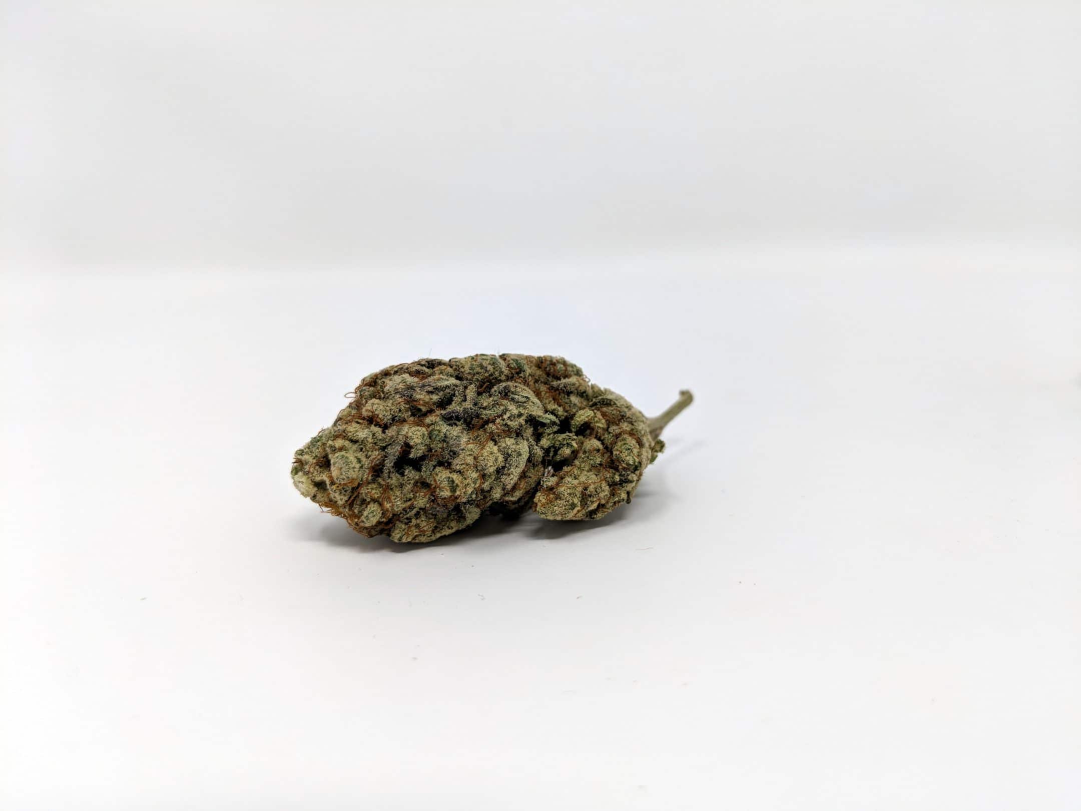 Archive image 3 for Alien Cream Cake Strain Review
