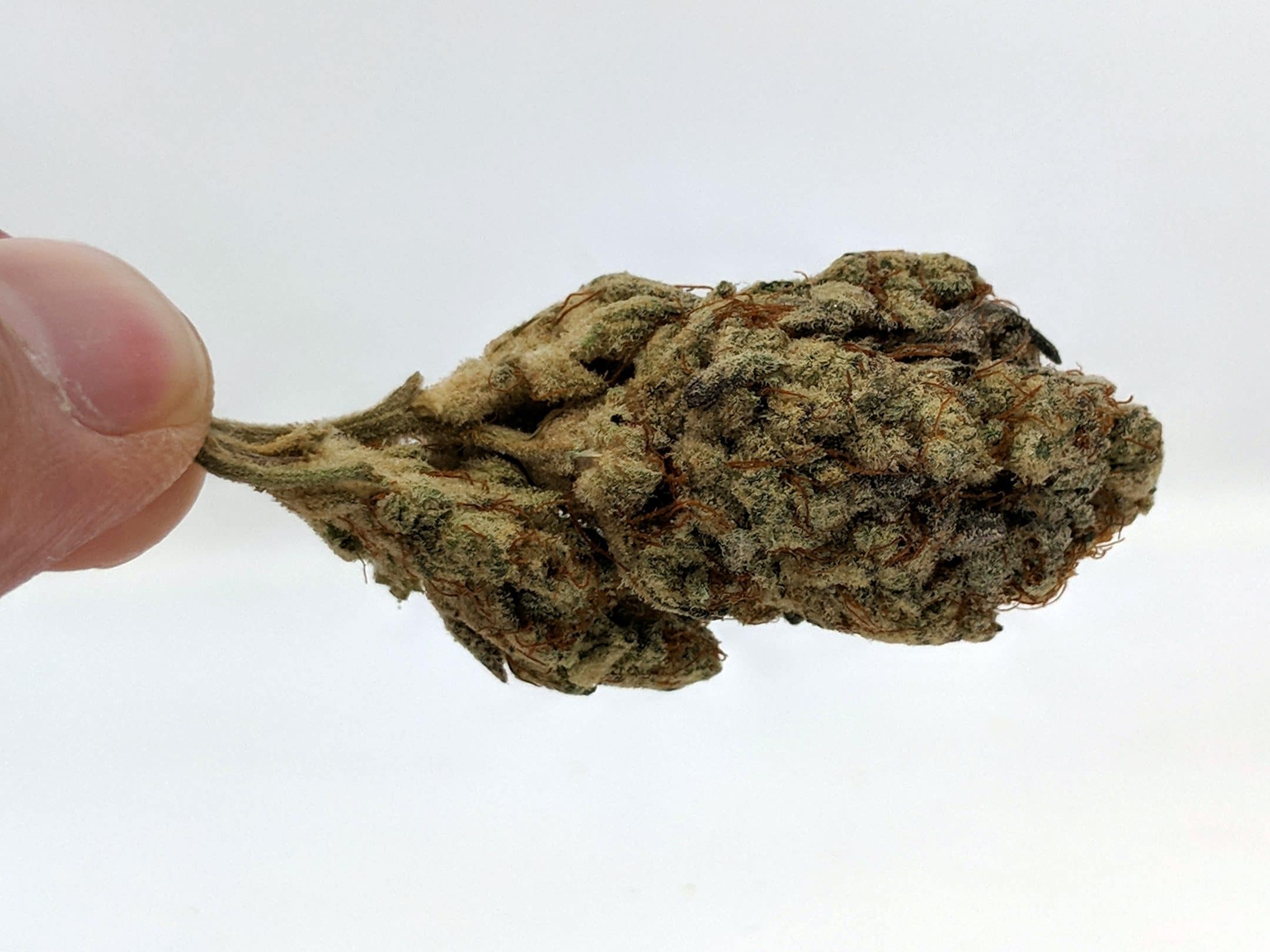 Archive image 4 for Alien Cream Cake Strain Review