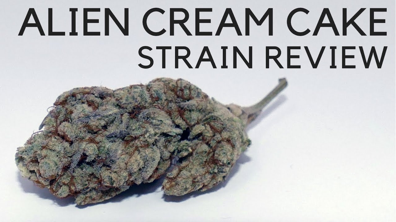 Archive image 5 for Alien Cream Cake Strain Review