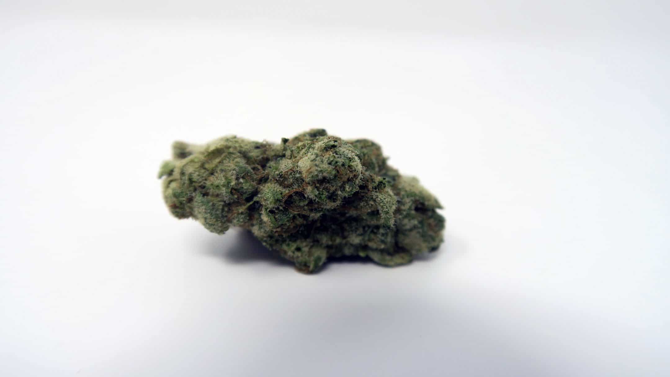 Archive image 2 for Animal Cookies US Cannabis Strain Review
