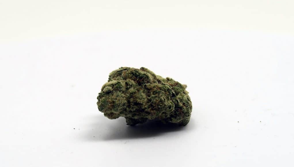 Archive image 5 for Animal Cookies US Cannabis Strain Review