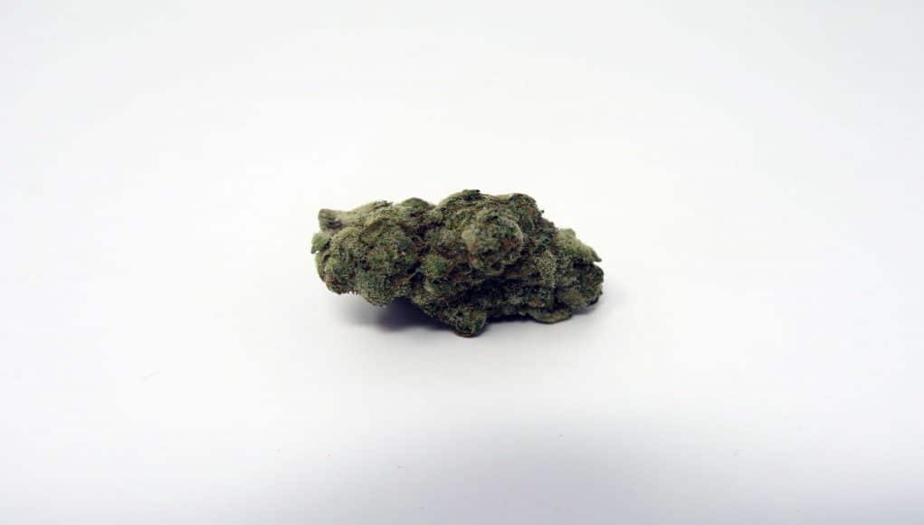 Archive image 6 for Animal Cookies US Cannabis Strain Review