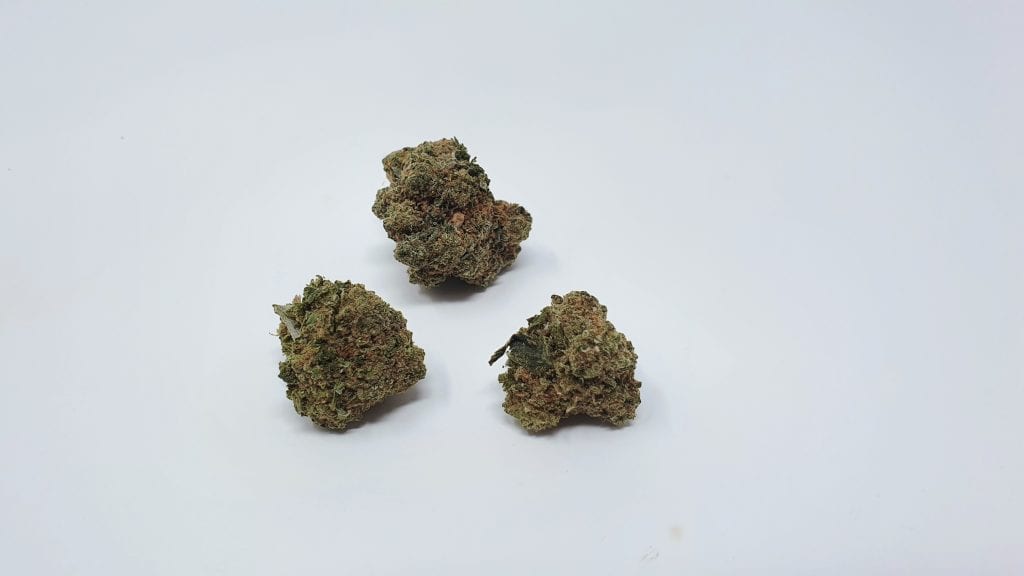 Archive image 2 for At a glance, this weed didn't seem so bad. Then I took a closer look