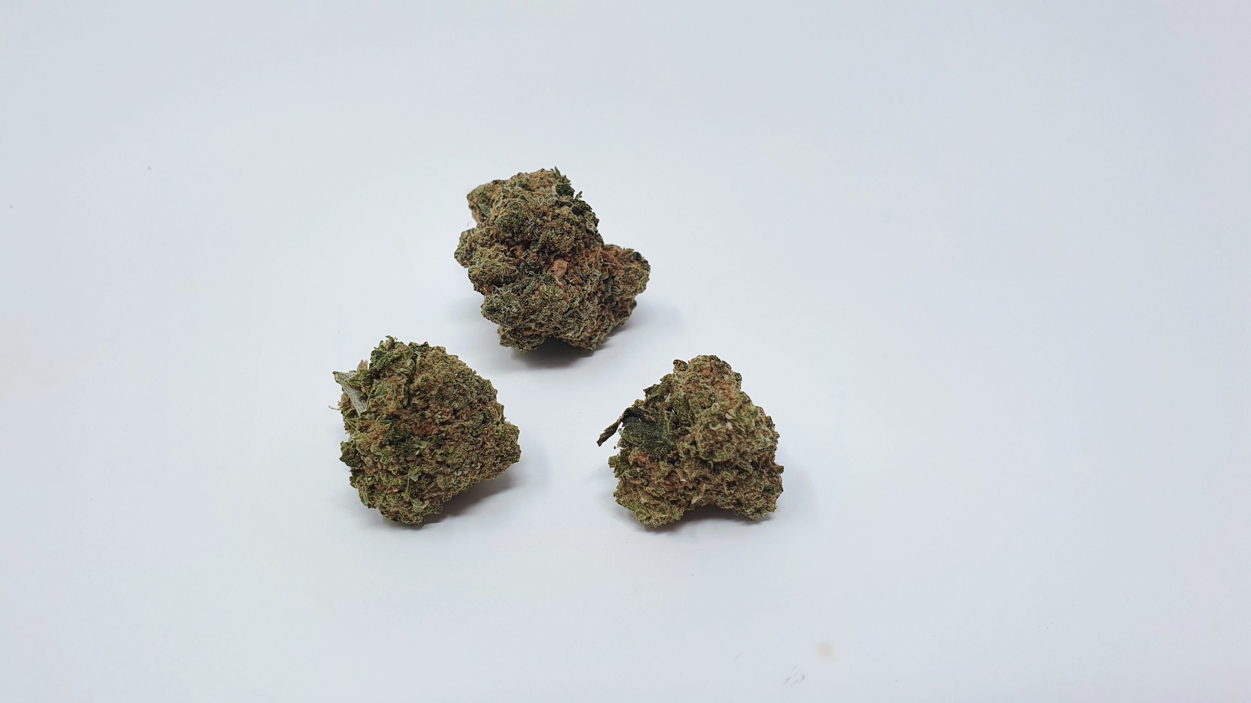 Archive image 9 for At a glance, this weed didn't seem so bad. Then I took a closer look