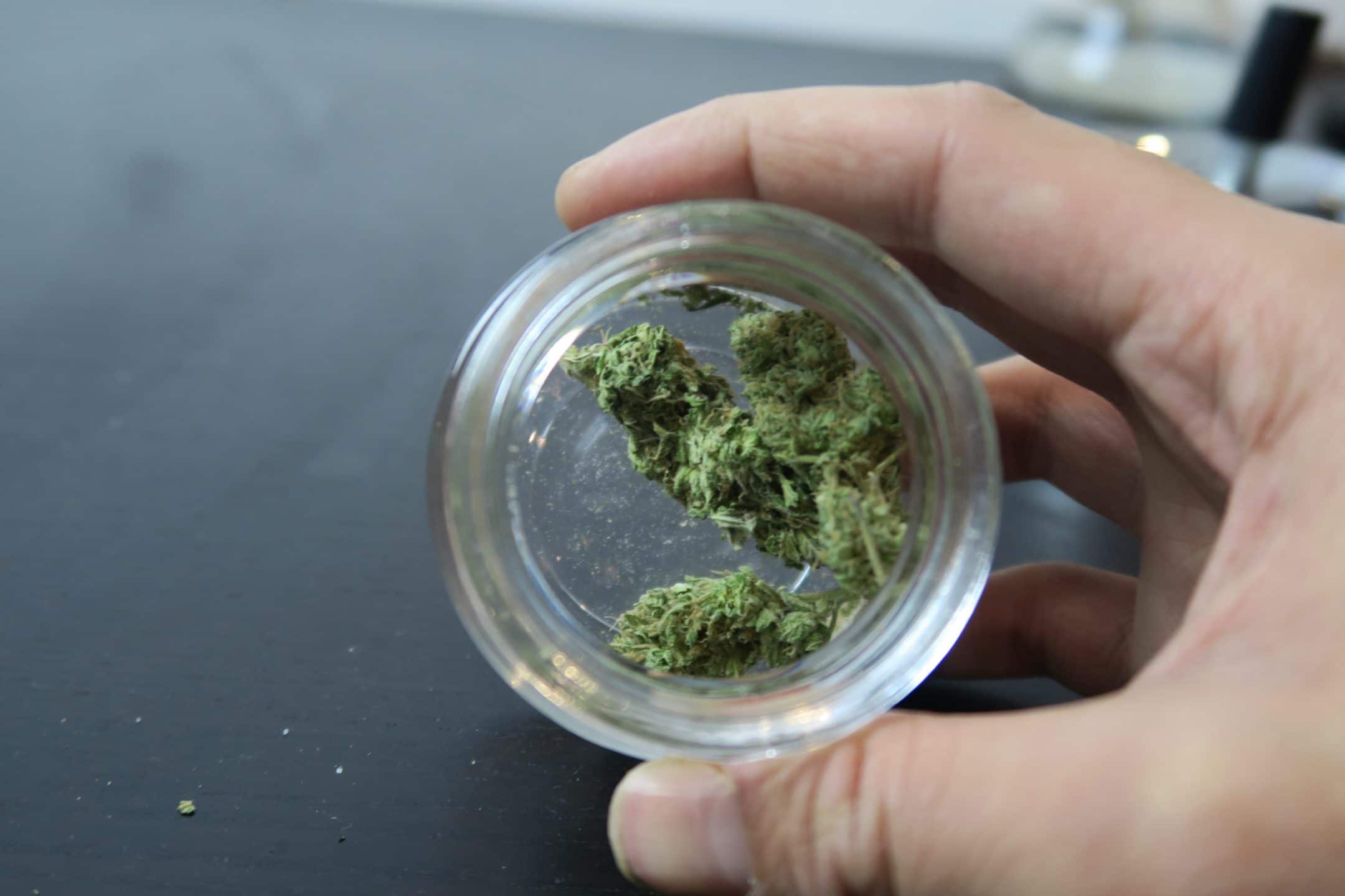 Archive image 2 for B29 Cannabis Strain Review