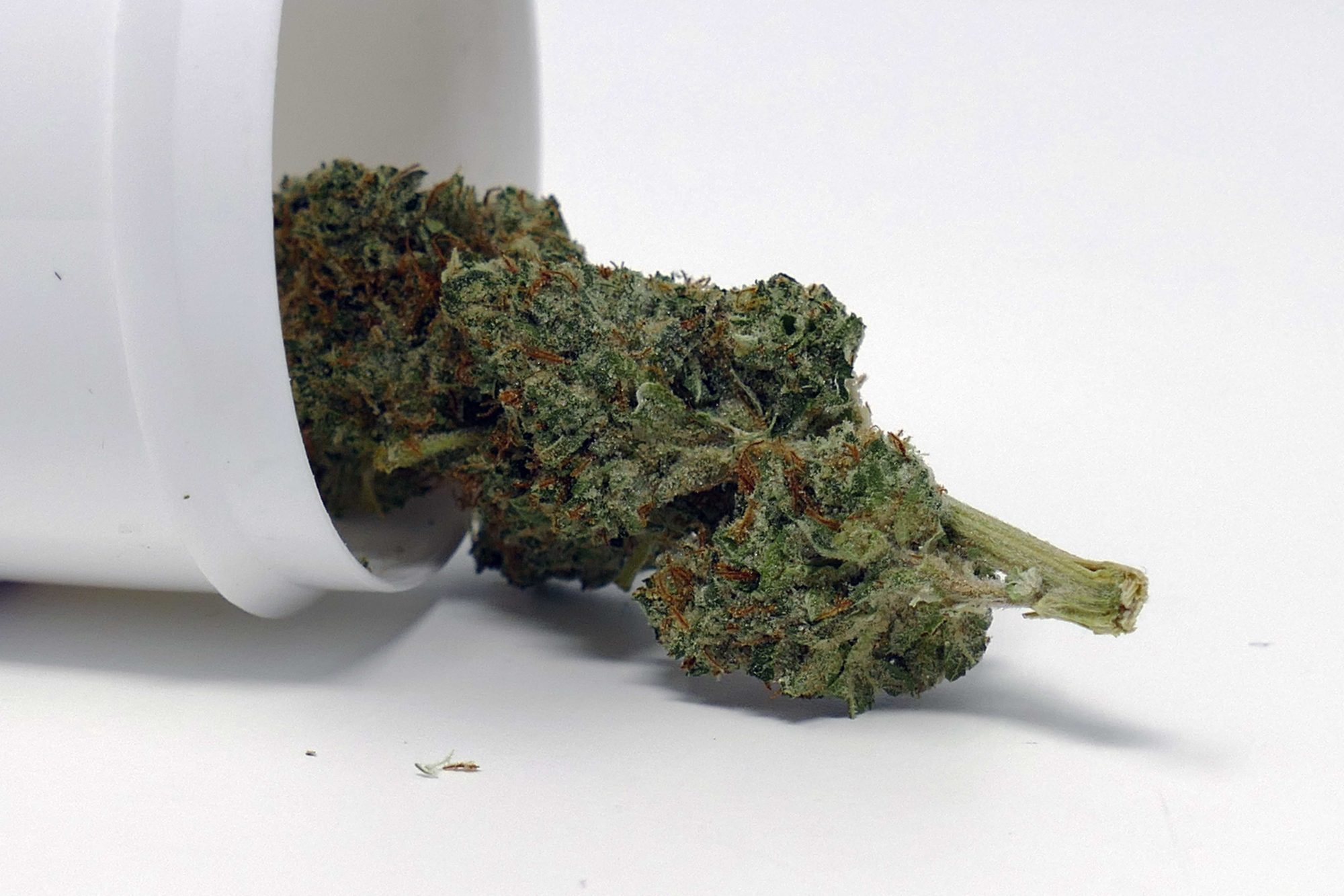 Archive image 2 for B29 OG Cannabis Strain Information & Review
