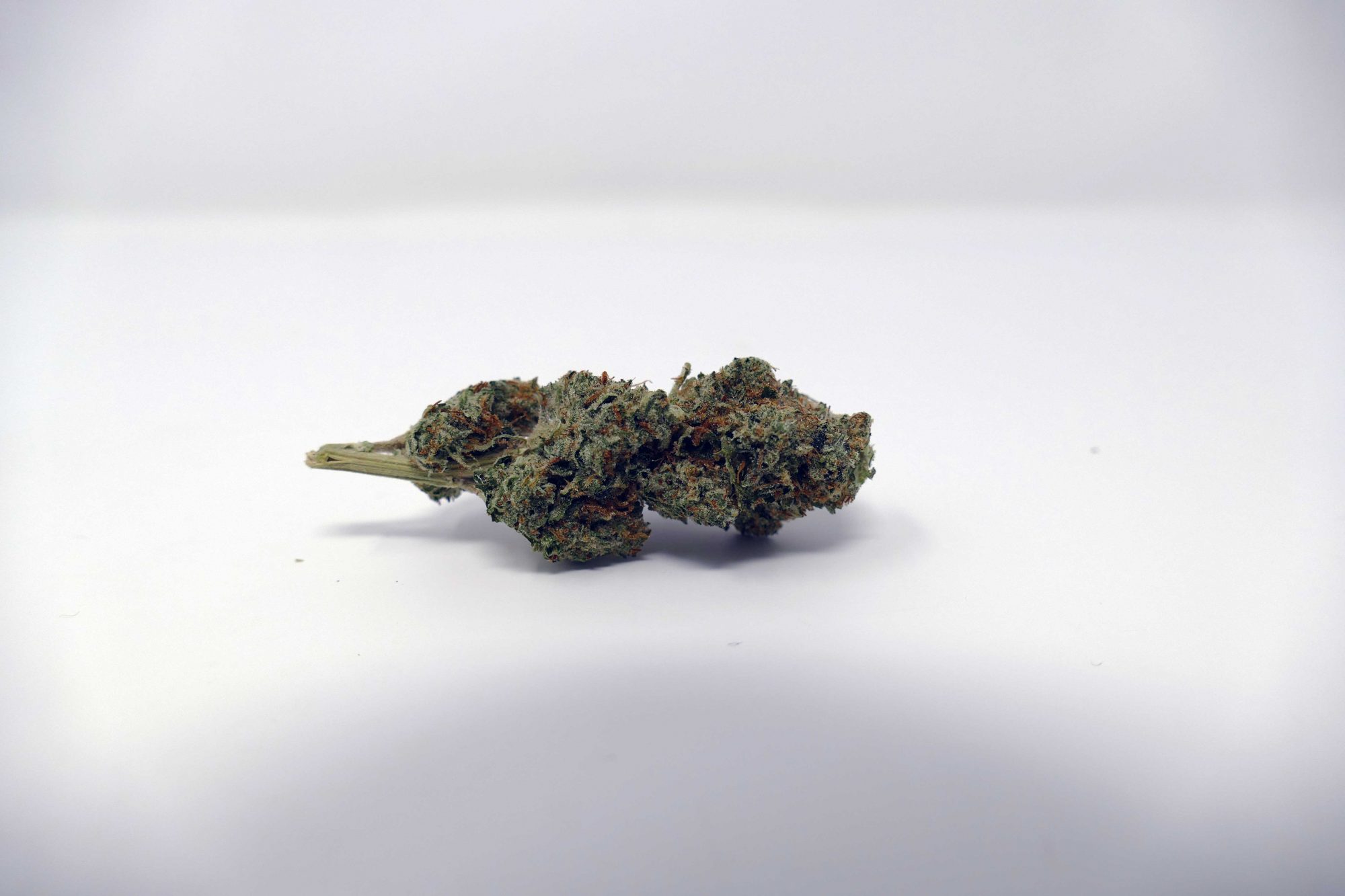 Archive image 3 for B29 OG Cannabis Strain Information & Review