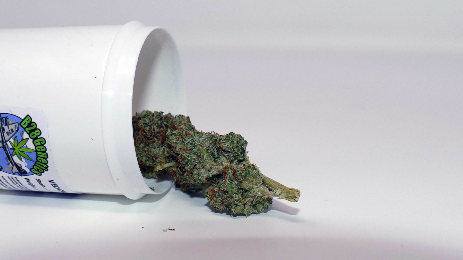 Archive image 7 for B29 OG Cannabis Strain Information & Review