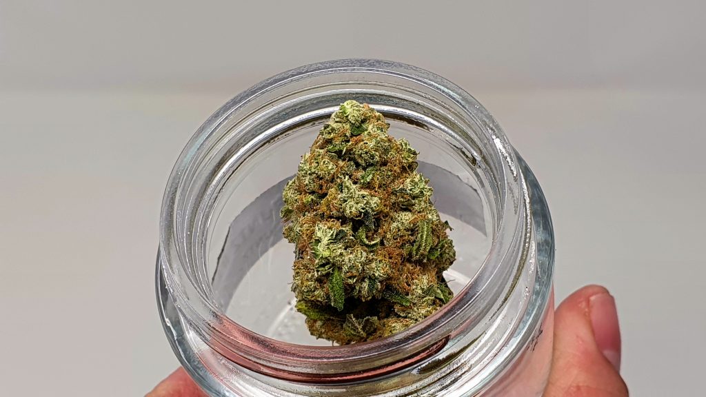 Archive image 3 for Banana MAC Cannabis Strain Review & Information