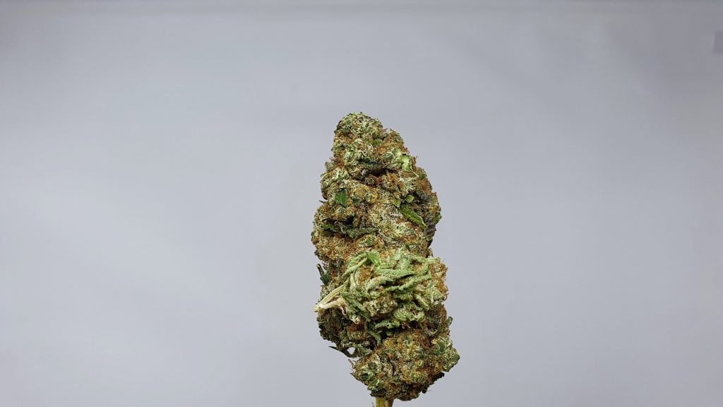 Archive image 4 for Banana MAC Cannabis Strain Review & Information