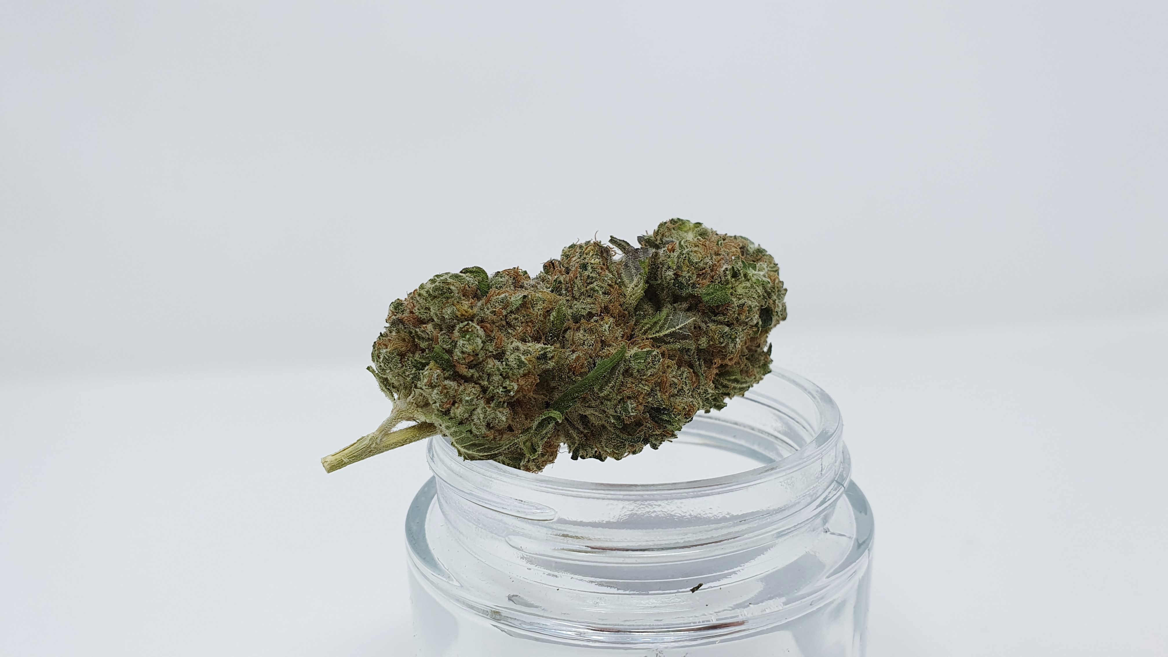 Archive image 5 for Banana MAC Cannabis Strain Review & Information