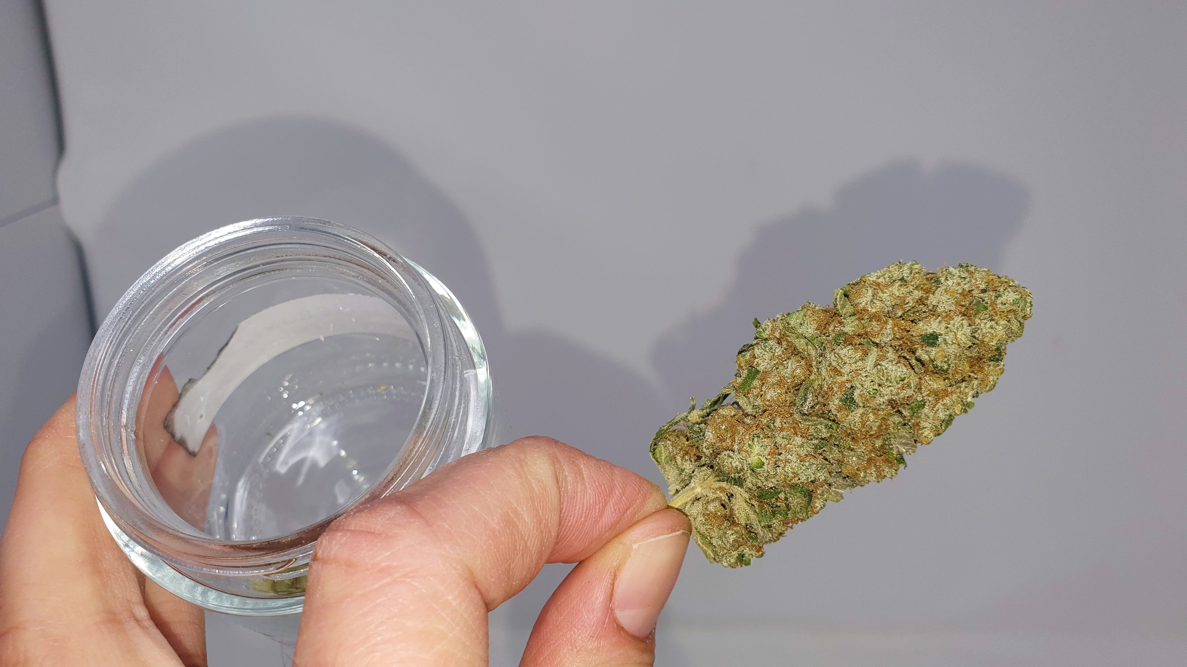 Archive image 6 for Banana MAC Cannabis Strain Review & Information