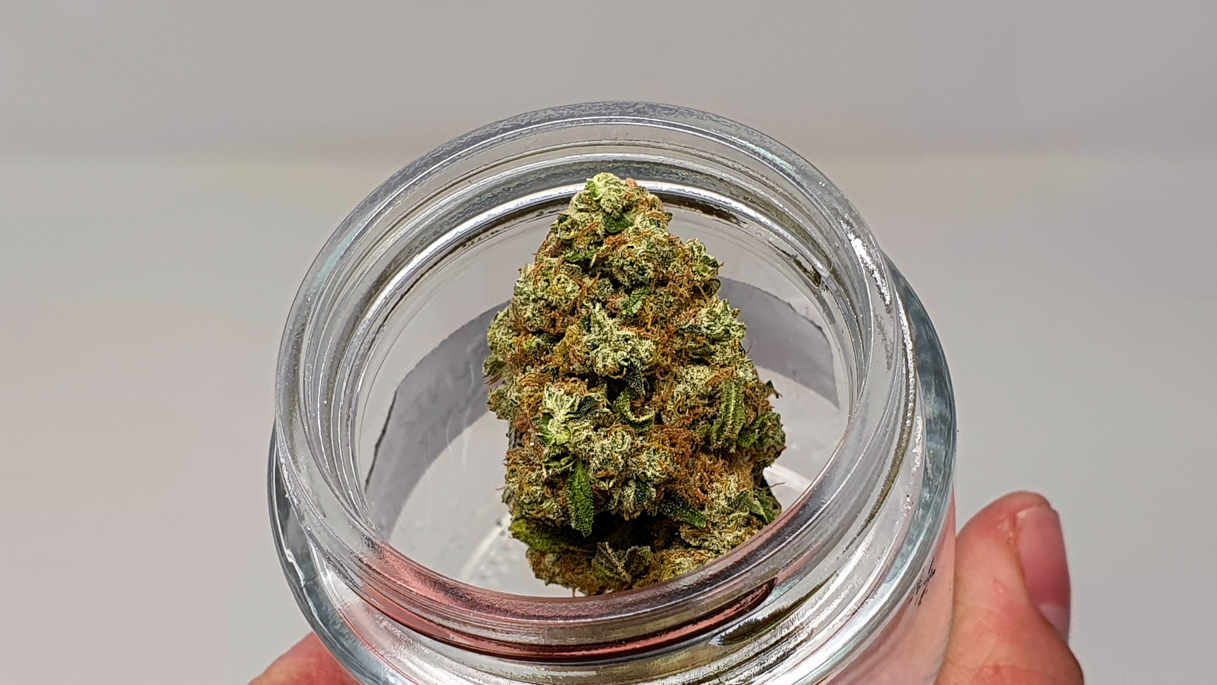 Archive image 7 for Banana MAC Cannabis Strain Review & Information