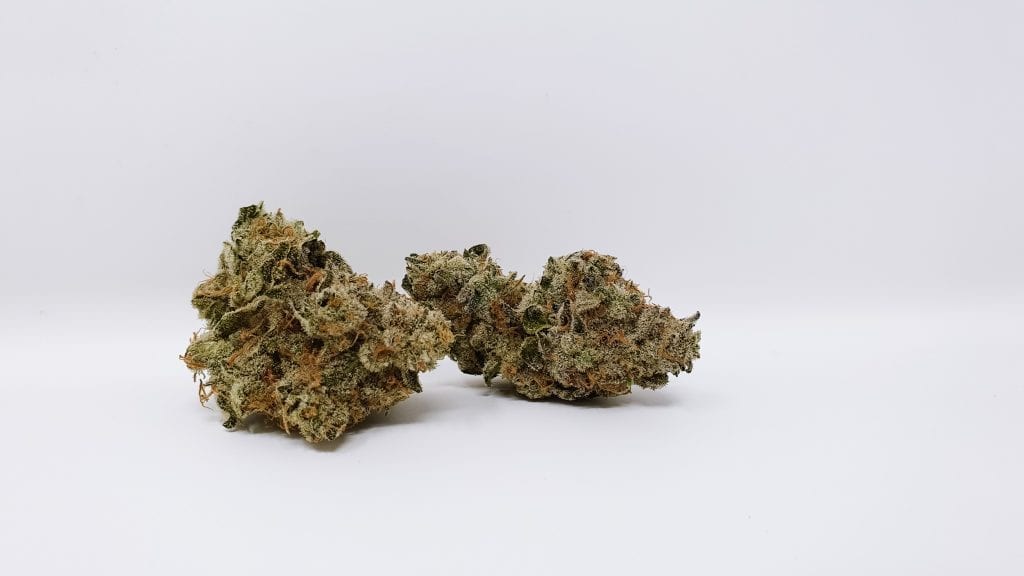 Archive image 2 for Banana Punch Cannabis Strain Review & Information