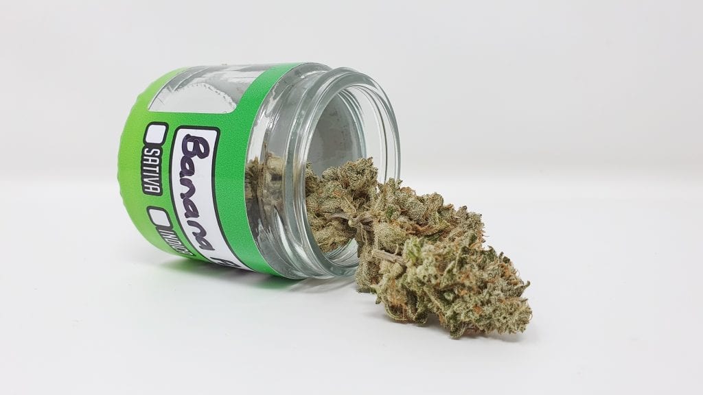 Archive image 3 for Banana Punch Cannabis Strain Review & Information