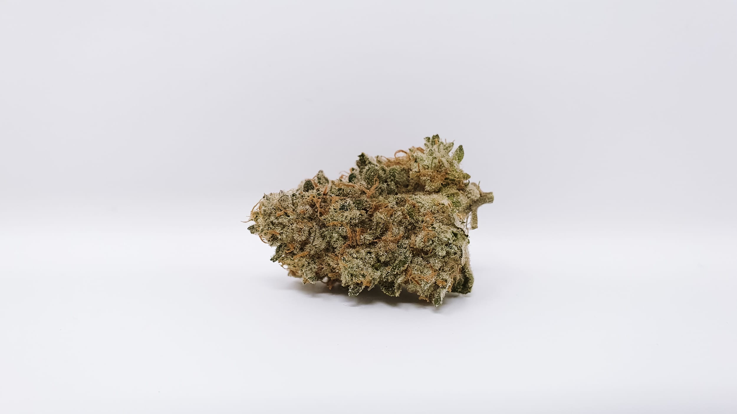 Archive image 9 for Banana Punch Cannabis Strain Review & Information