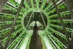 Beginners Overview and Guide to Hydroponic Gardening