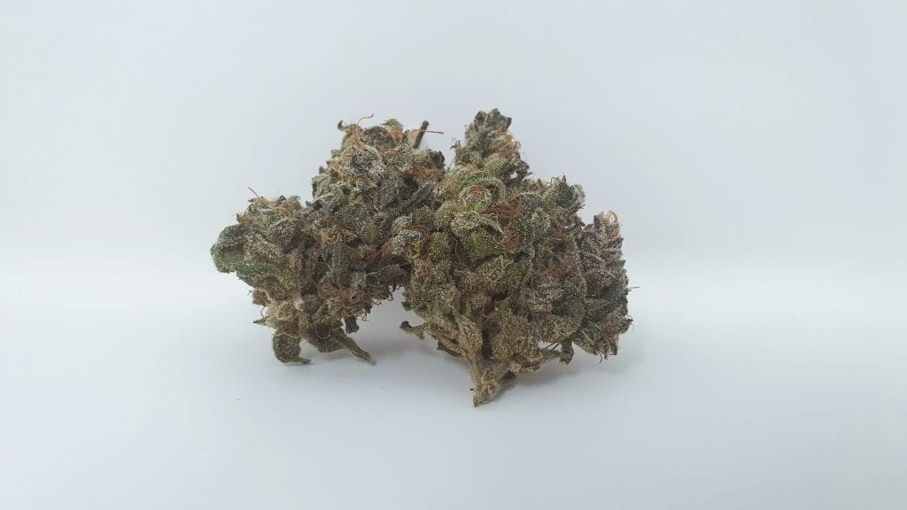 Archive image 2 for Berry Split Cannabis Strain Review & Information