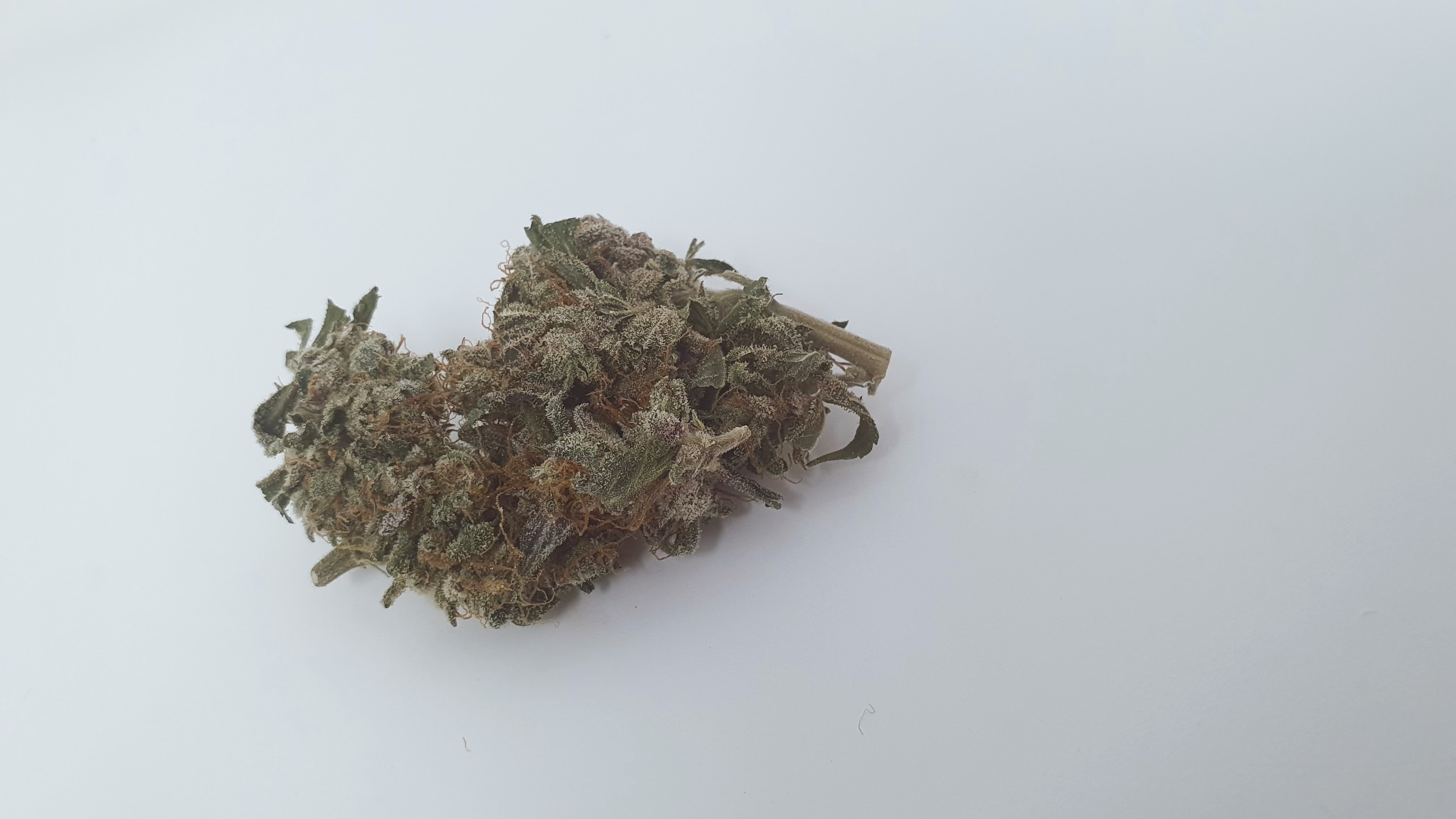 Archive image 9 for Berry Split Cannabis Strain Review & Information