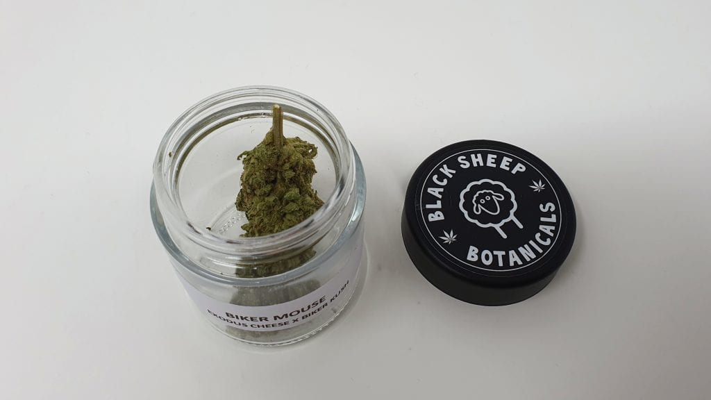 Archive image 3 for Biker Mouse Cannabis Strain Review & Information