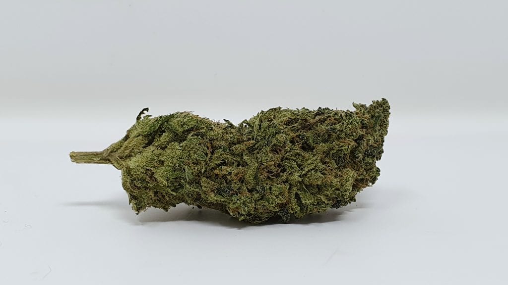 Archive image 5 for Biker Mouse Cannabis Strain Review & Information