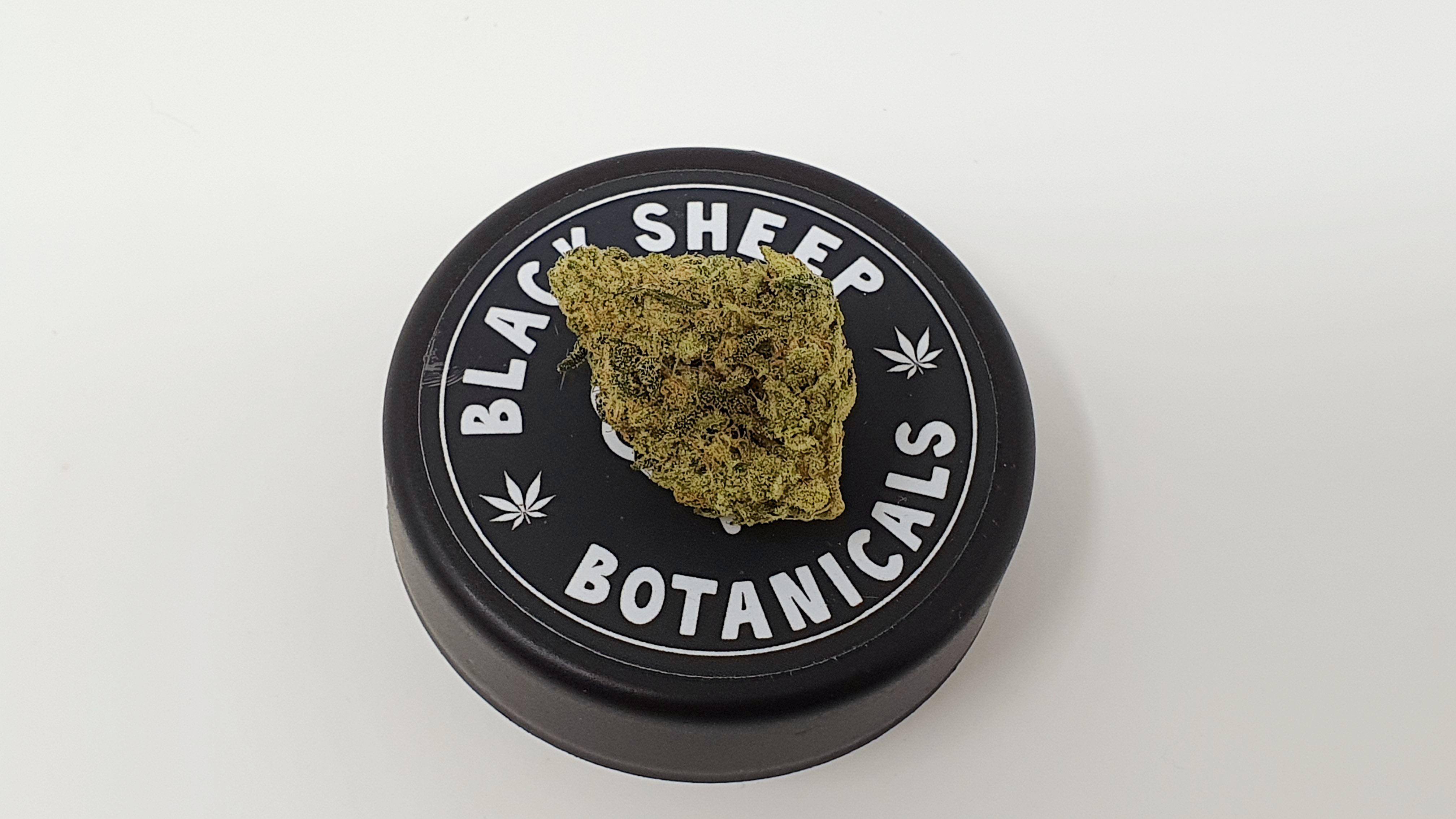 Archive image 7 for Biker Mouse Cannabis Strain Review & Information