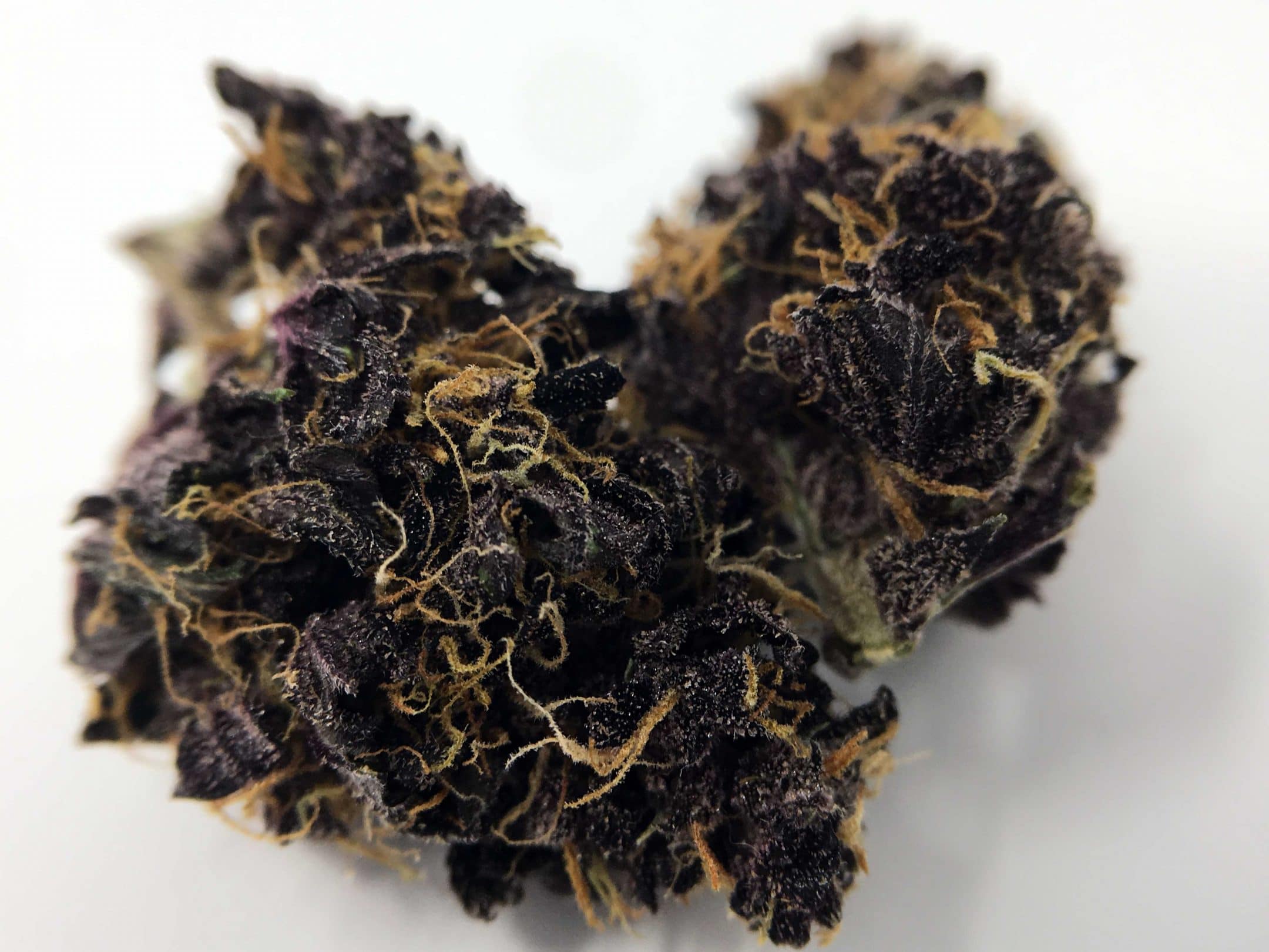 Archive image 3 for Blackberry Kush Cannabis Strain Information & Review
