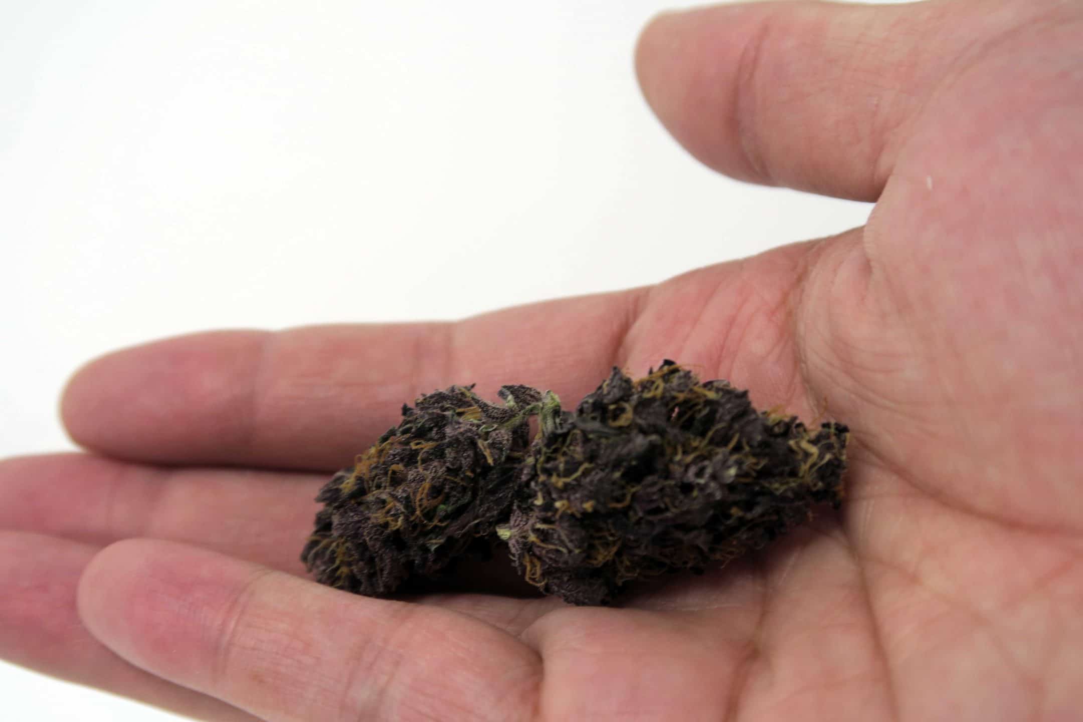 Archive image 4 for Blackberry Kush Cannabis Strain Information & Review