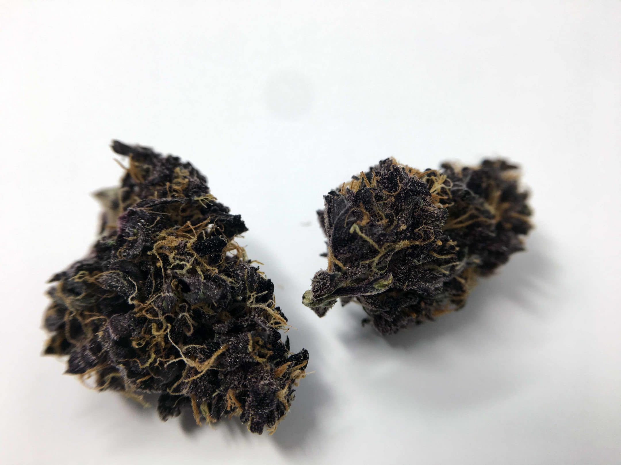 Archive image 7 for Blackberry Kush Cannabis Strain Information & Review
