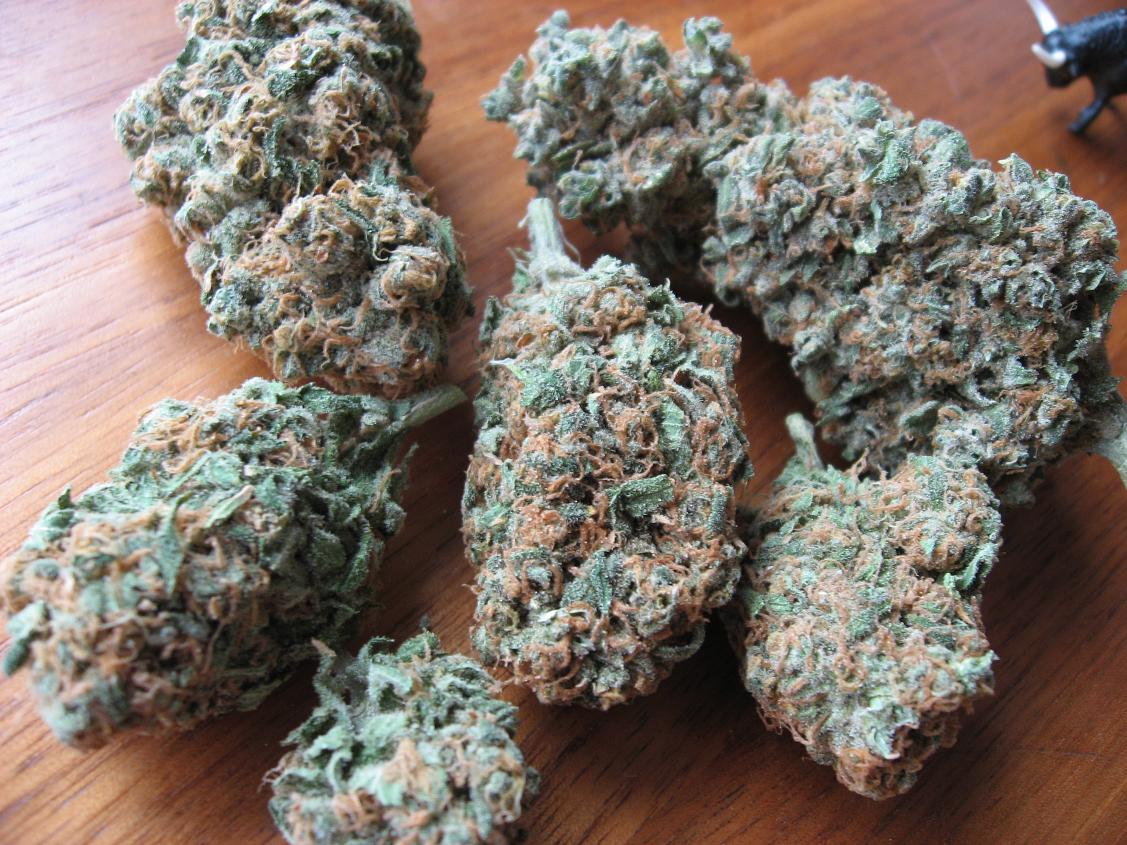 Archive image 3 for Blueberry Cannabis Strain Review