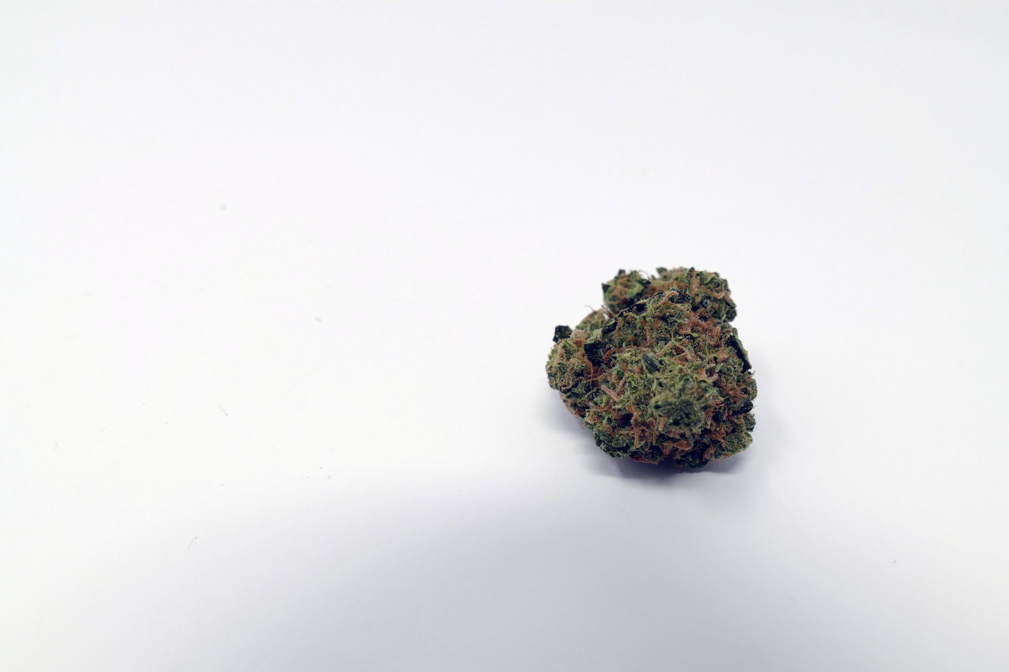 Archive image 4 for Blues Cannabis Strain Information & Review