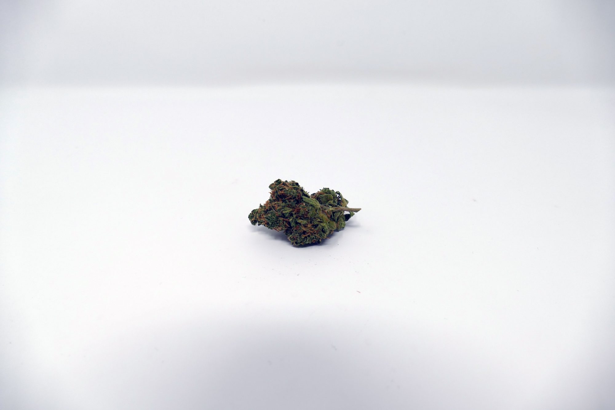Archive image 7 for Blues Cannabis Strain Information & Review