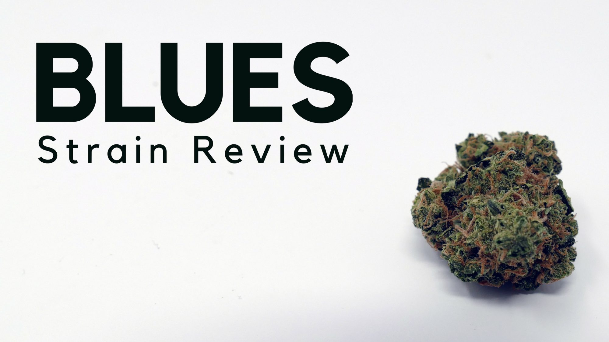 Archive image 8 for Blues Cannabis Strain Information & Review
