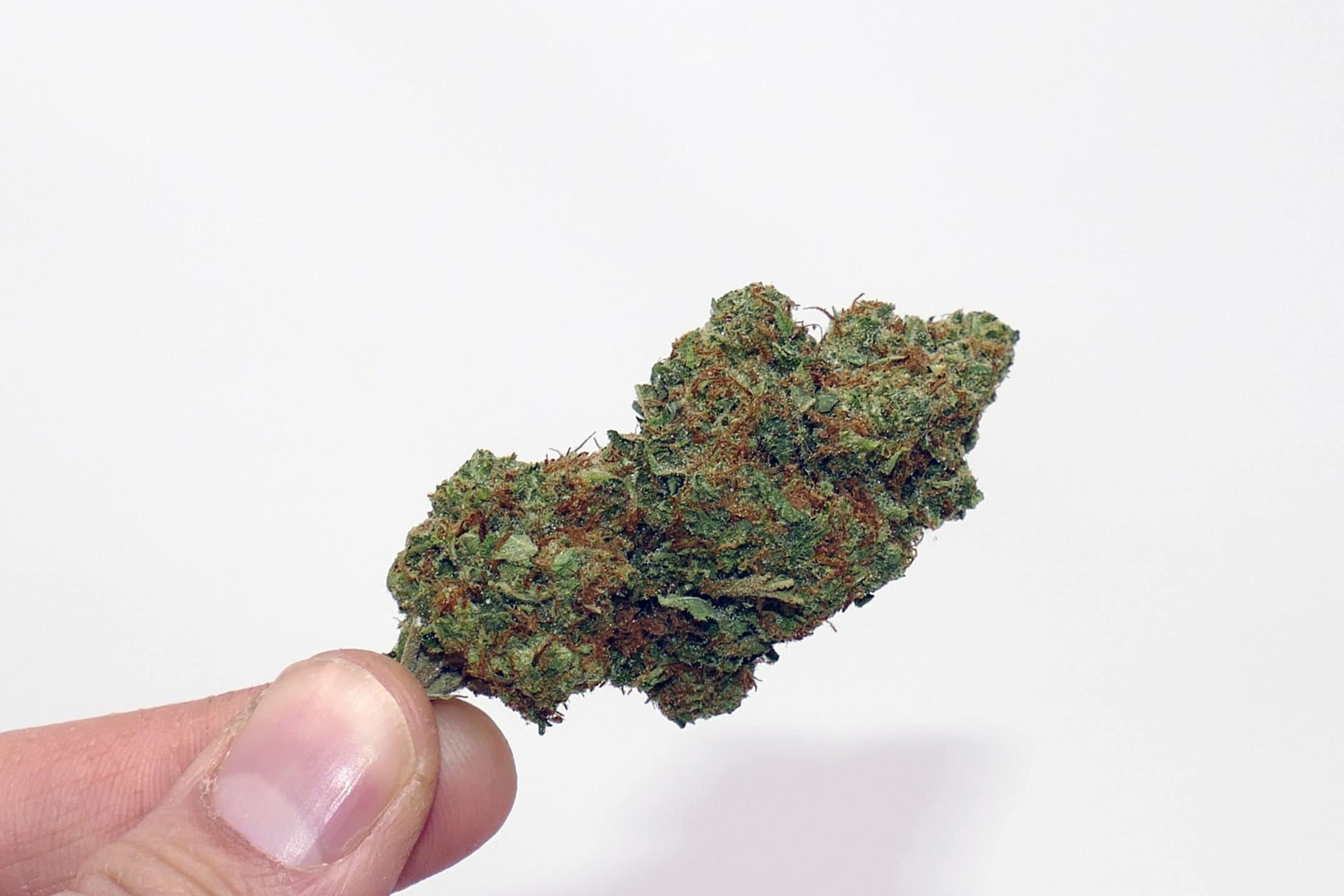 Archive image 4 for CaliPo Cannabis Strain Review & Information