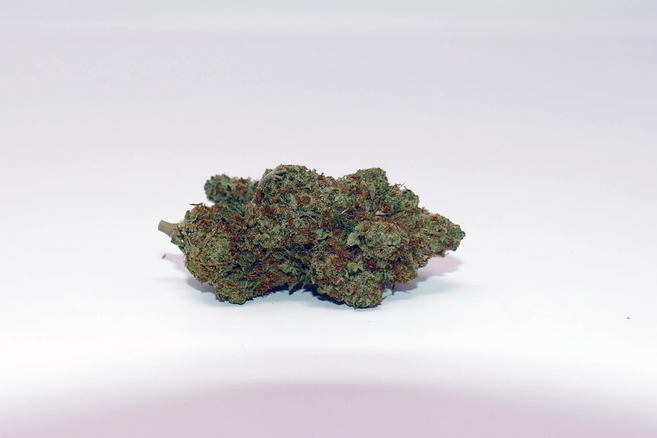 Archive image 5 for CaliPo Cannabis Strain Review & Information