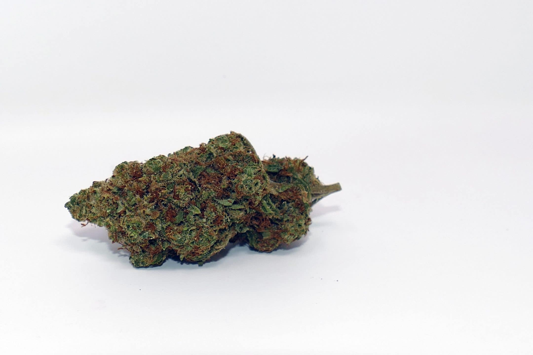 Archive image 6 for CaliPo Cannabis Strain Review & Information