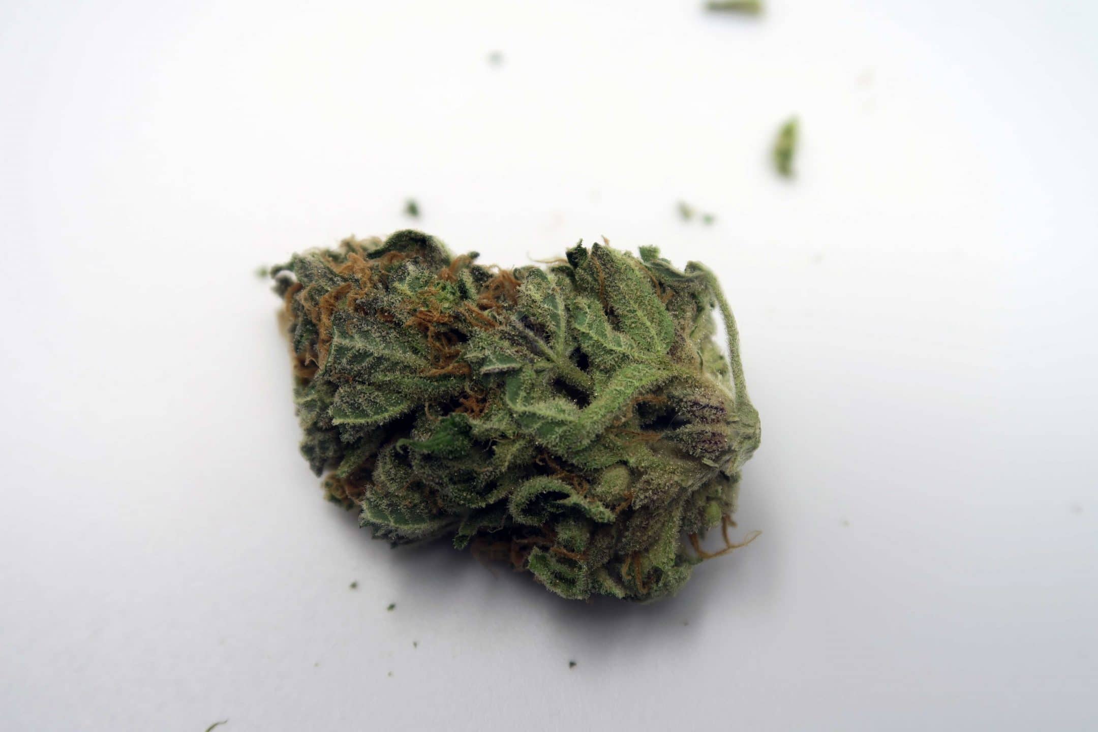 Archive image 2 for Candy Cream Cannabis Strain Review
