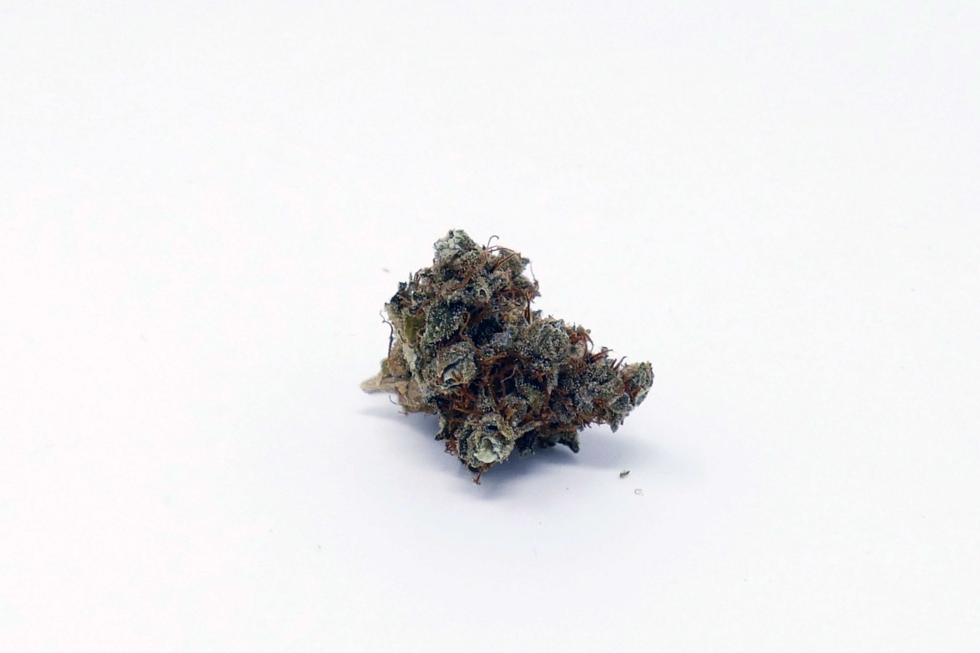 Archive image 2 for Casey Jones Cannabis Strain Information & Review