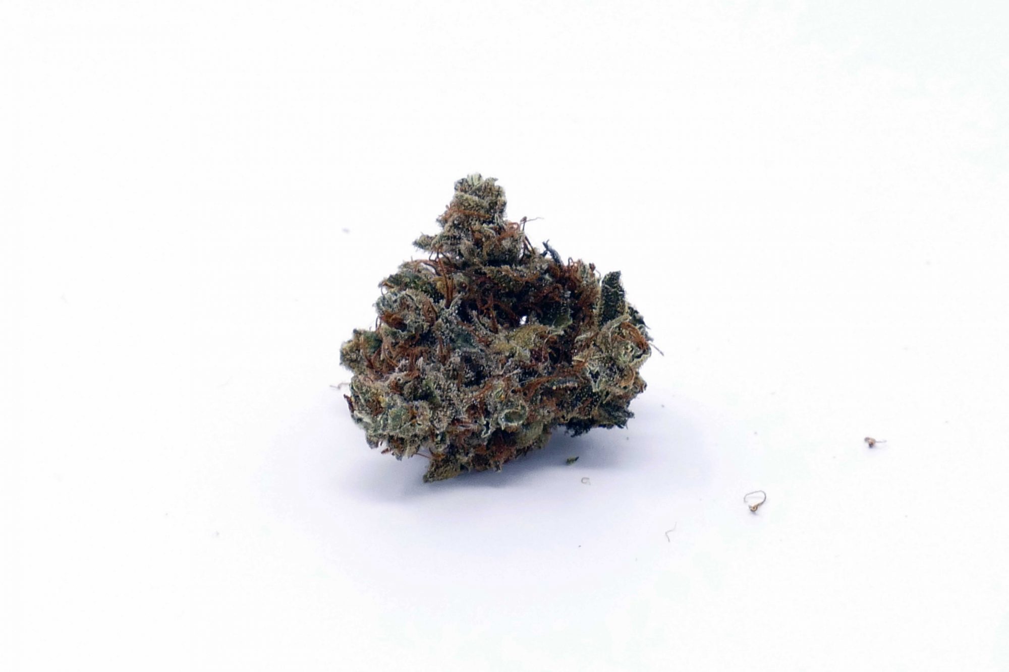 Archive image 4 for Casey Jones Cannabis Strain Information & Review