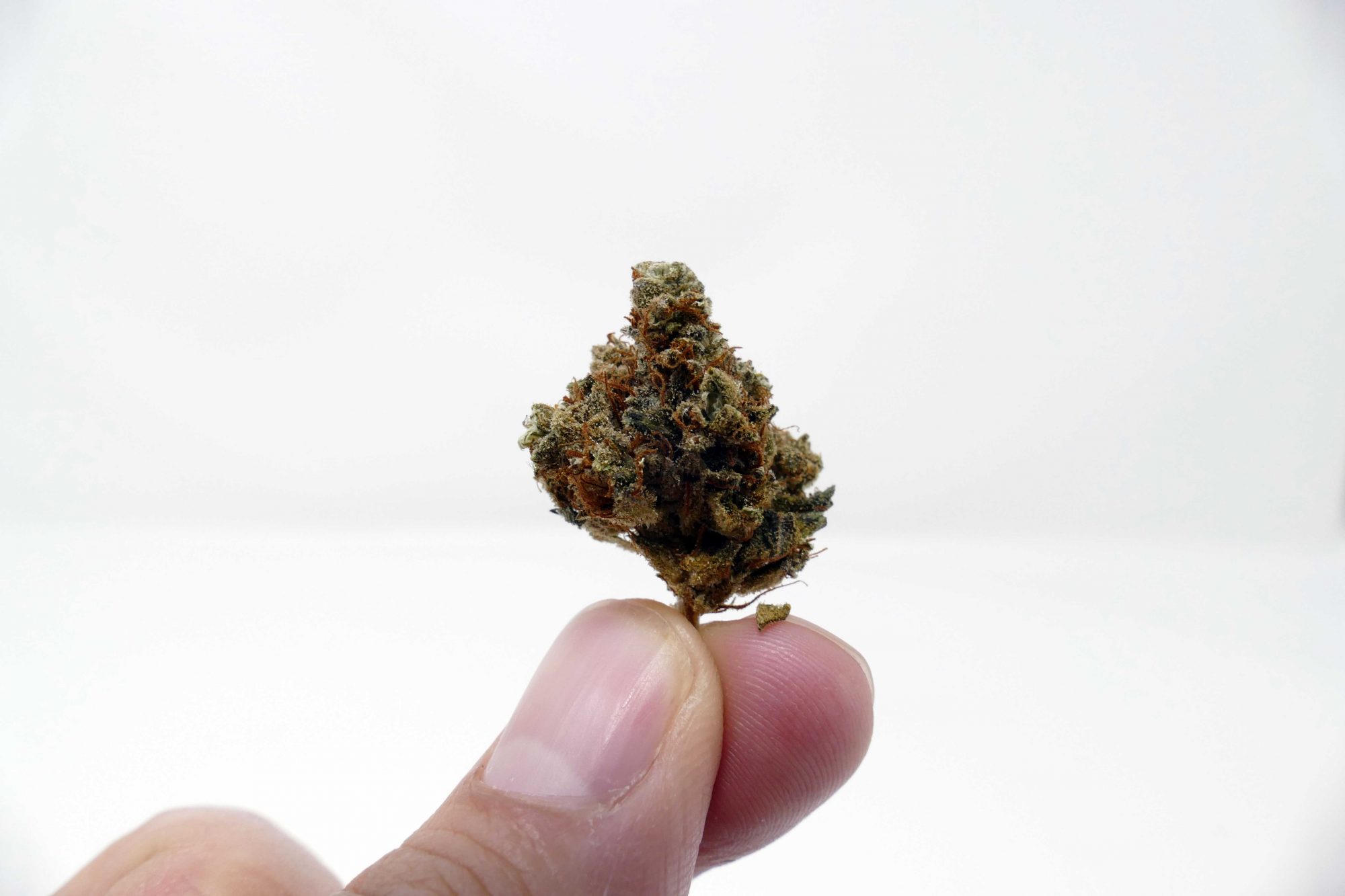Archive image 5 for Casey Jones Cannabis Strain Information & Review
