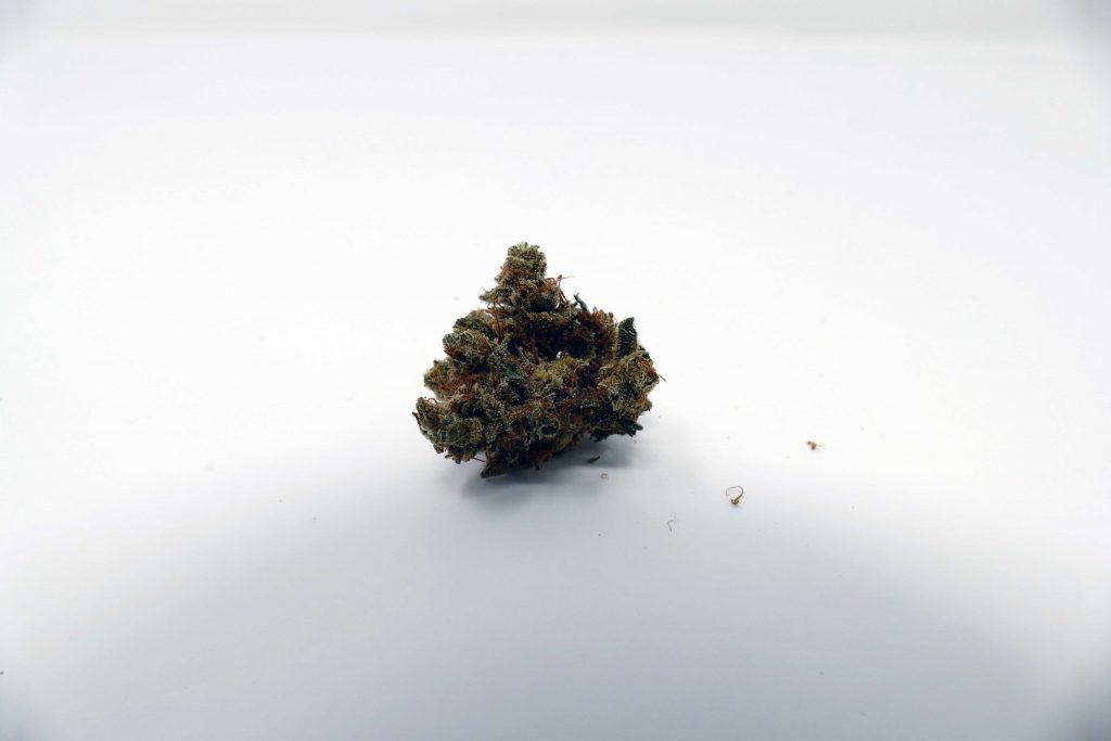 Archive image 7 for Casey Jones Cannabis Strain Information & Review