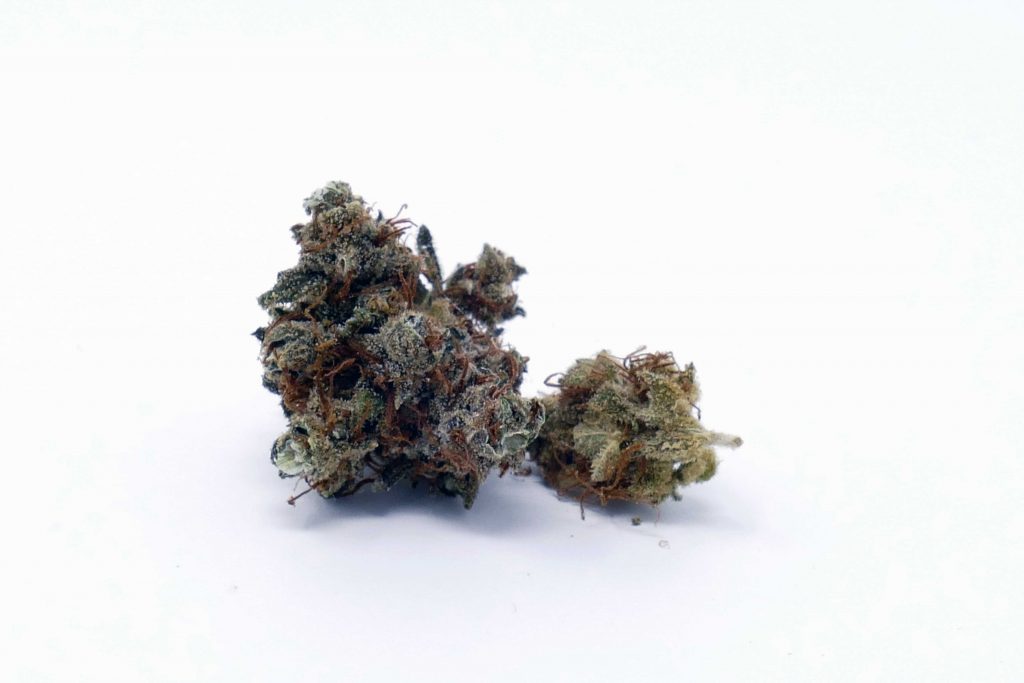 Archive image 8 for Casey Jones Cannabis Strain Information & Review