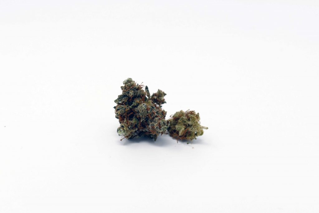 Archive image 9 for Casey Jones Cannabis Strain Information & Review