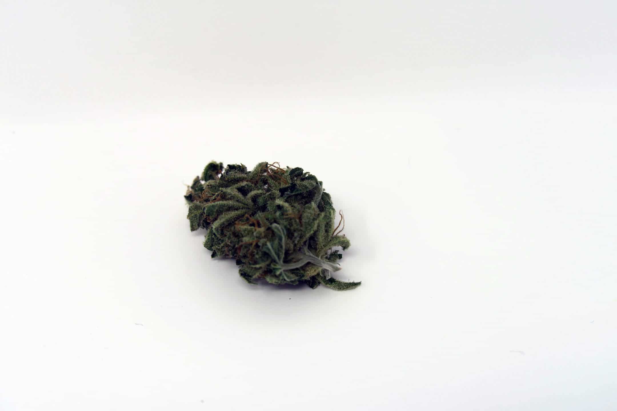 Archive image 4 for CBD Critical Cure